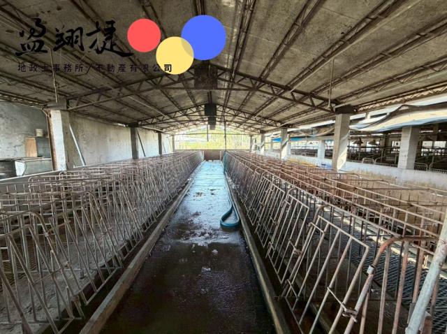 屏東麟洛豬舍-4