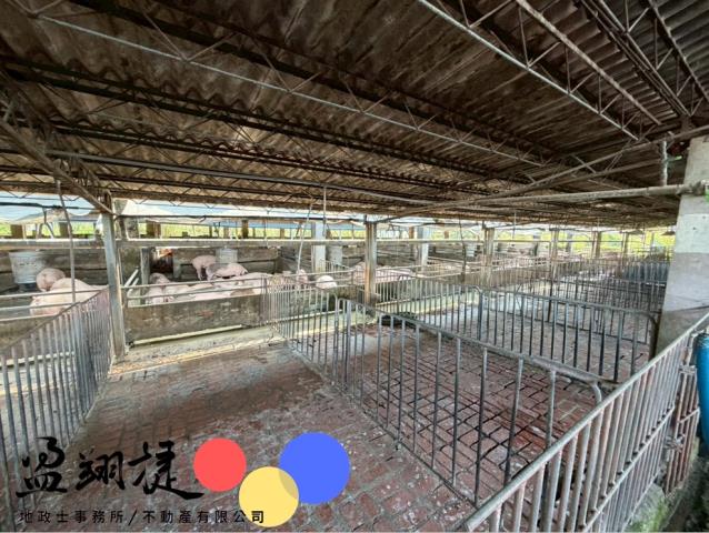 屏東麟洛豬舍-5