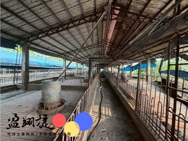 屏東竹田豬舍-0