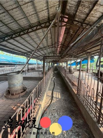 屏東竹田豬舍-1