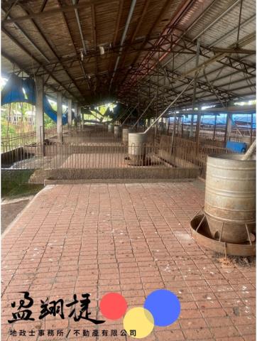 屏東竹田豬舍-4