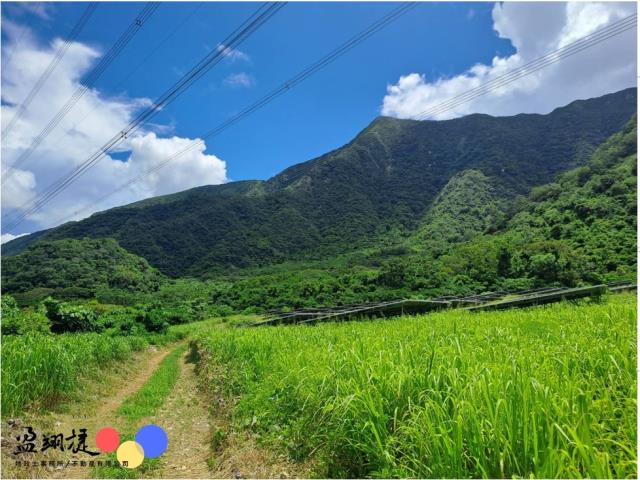 牡丹農地-2