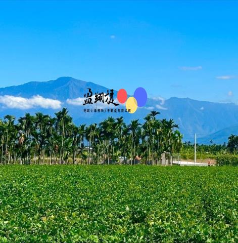 崁頂農地-1