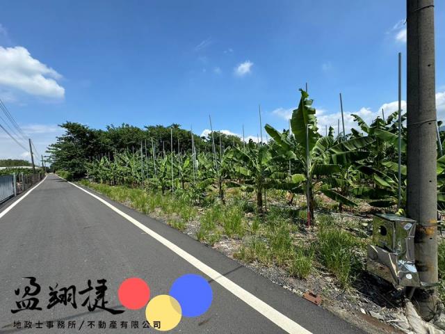 新埤農地-0