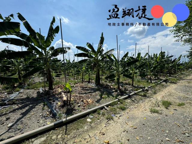 新埤農地-2