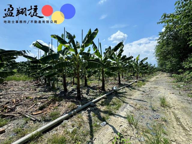 新埤農地-3