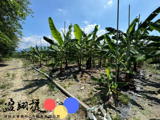 新埤農地-4