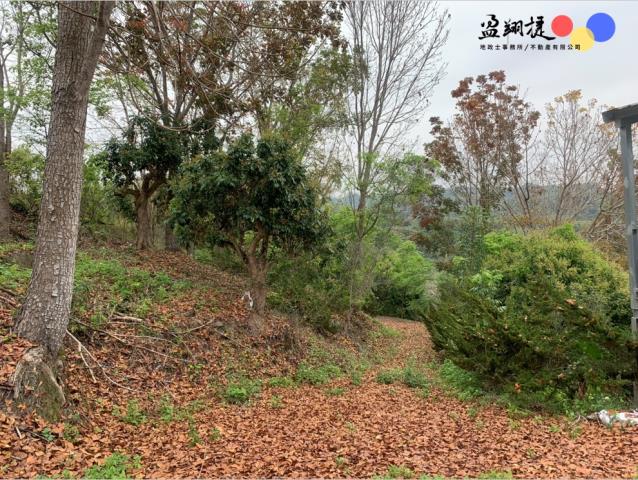 中寮農地-2