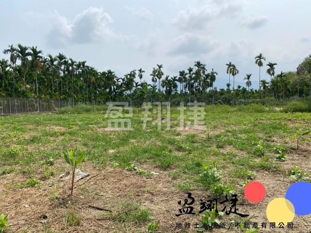 萬巒農地-2