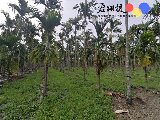 屏東農地-1