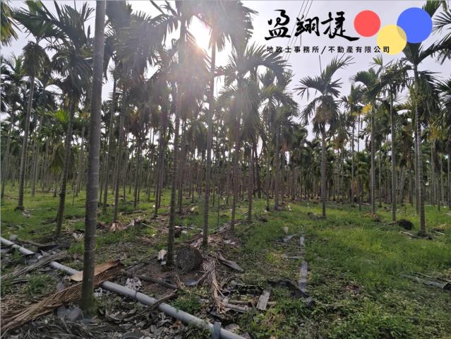 屏東農地-3