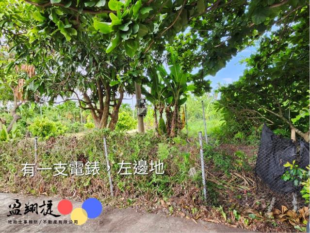 屏東新埤農地-0