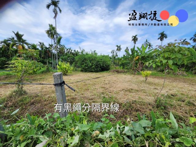 屏東新埤農地-5
