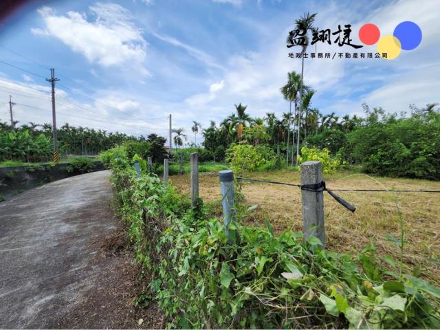 屏東新埤農地-6
