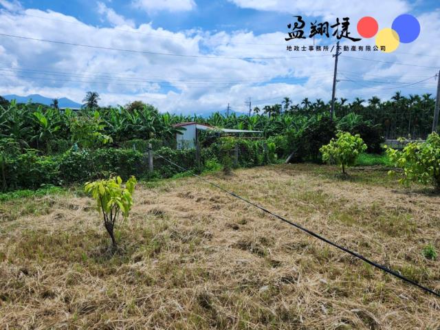 屏東新埤農地-7