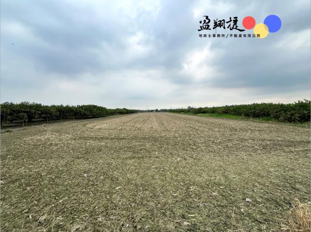 竹田農地-0