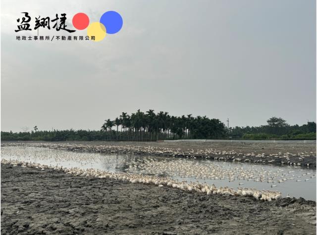 屏東農地-0