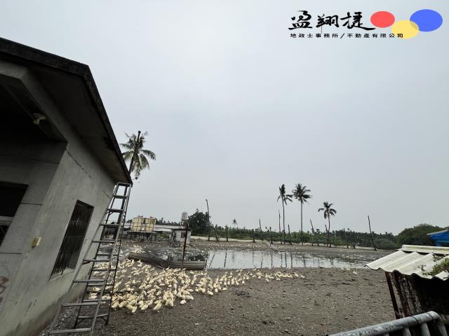 屏東內埔農地-2