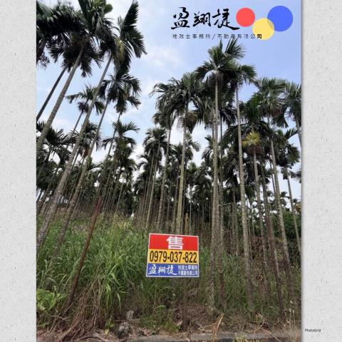 潮州農地-2